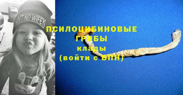 дживик Наволоки